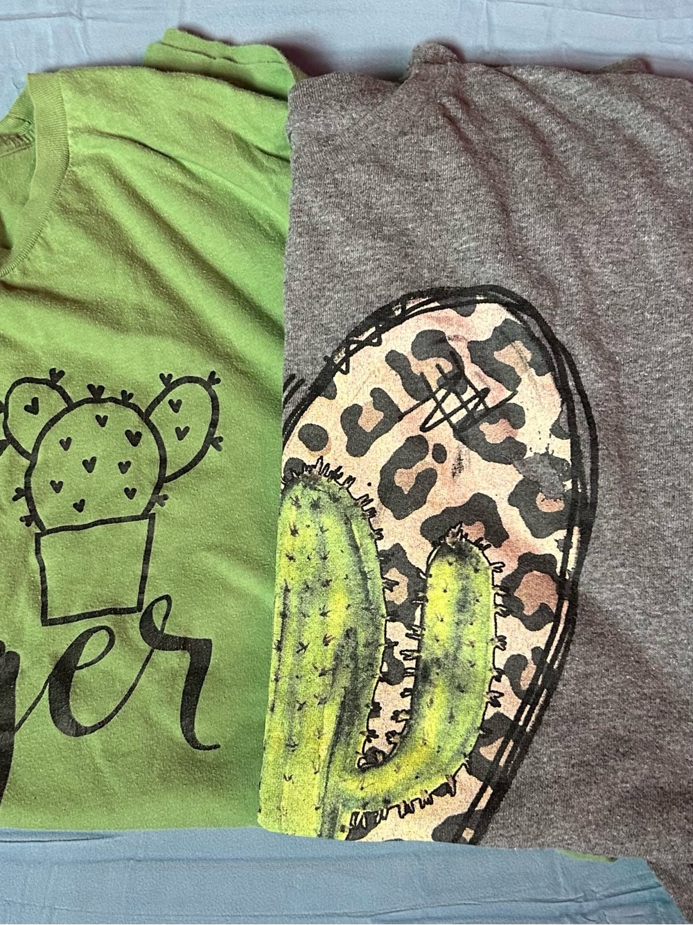 Kids Cactus Graphic Tee - Green and Gray